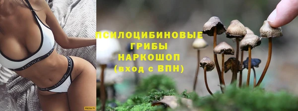 сатива Кинешма