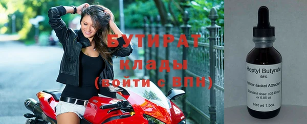 сатива Кинешма